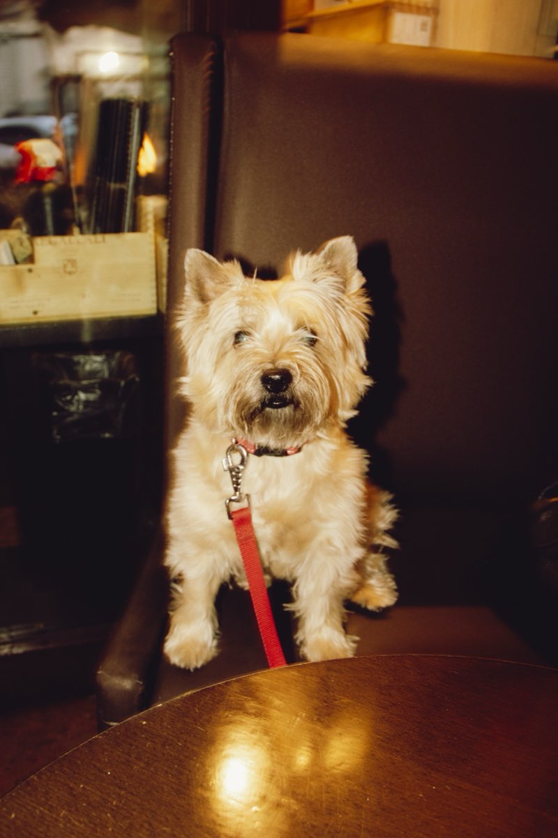 Wine Bar Image 20